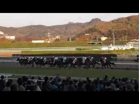【がんばれ福島】第48回福島記念(ＧⅢ)臨場感バージョン