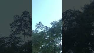 IMG 1430