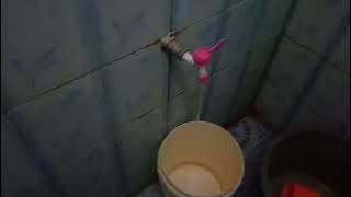 Cewek cantik seksi berak eek mencret di pagi hari