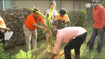 United Nations Somalia Plants Trees to Mark 16 Days of Activism Against Gender-Based Violence