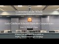 Early Childhood Educator Compensation