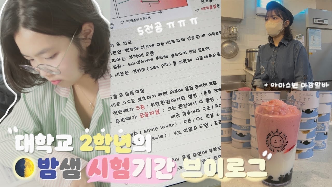 5전공이라니..🤮..새벽에 얼레벌레 공부하고 알바가는 대학생의 시험기간 브이로그 •̀ㅅ•́