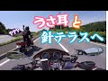 【女子ツー】うさ耳とグダグダ針テラスツーリング(°▽°)