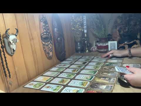 Video: Kokia Taro kortų tvarka?