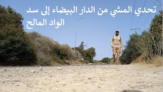 تحدي المشي من الدار البيضاء إلى سد الواد المالح (طريق بن سليمان)