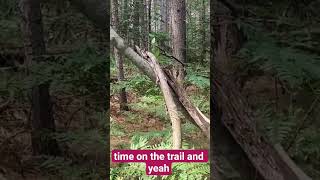 Sasquatch Structure! #metaphysics #cryptids #SasquatchSightings #interdimensional