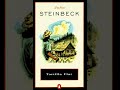 Tortilla Flat by John Steinbeck | Summary
