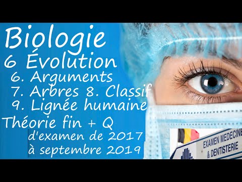 Vidéo: Qui sont les membres du quizlet de la famille des hominidés ?