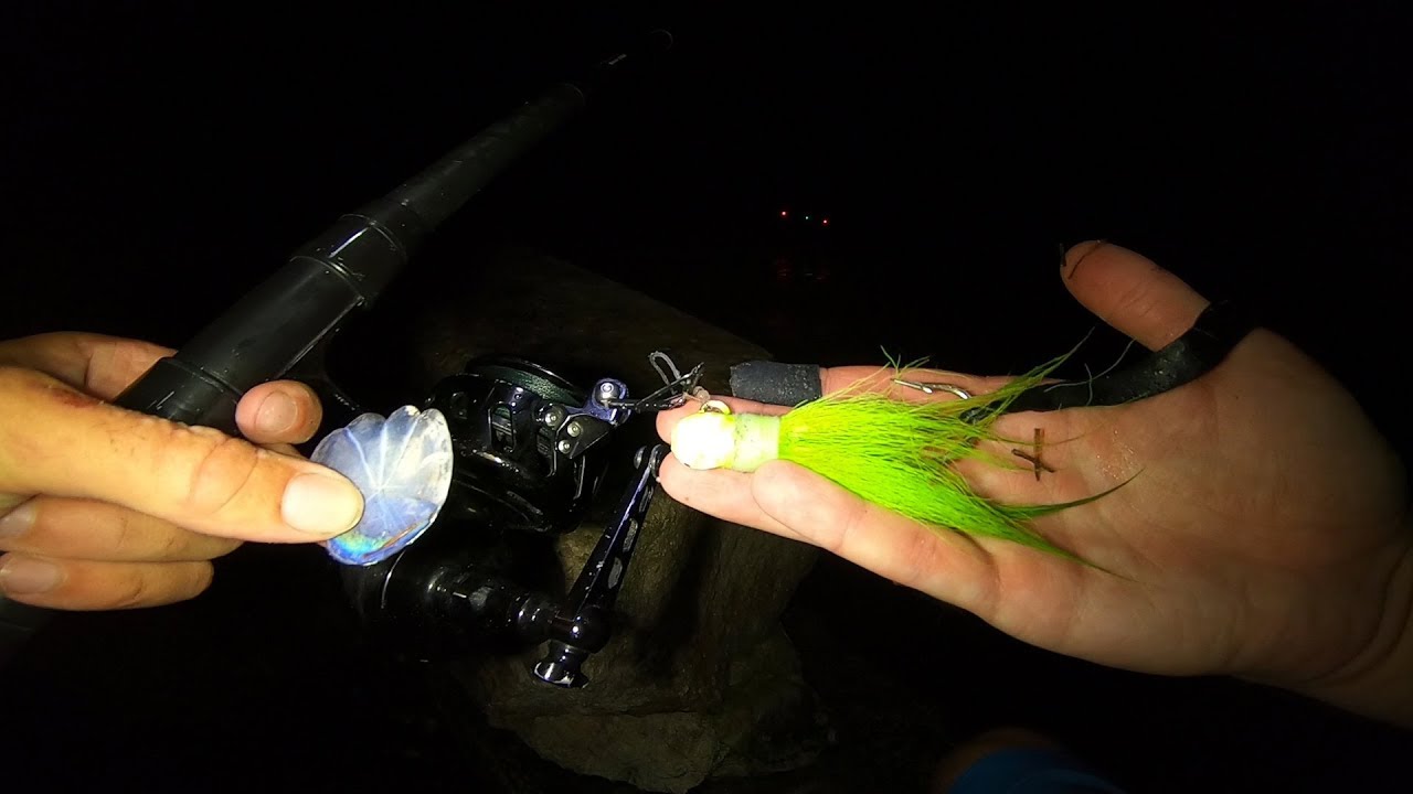 The Hardest Fish I've Tried to Catch From Shore Florida Keys Adventure Epi 3 YouTube