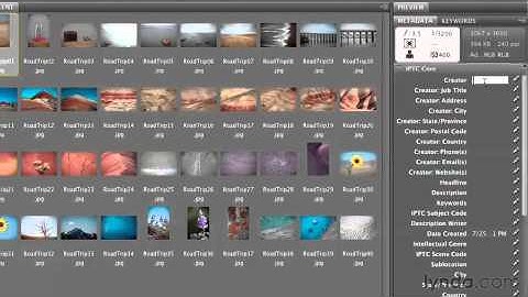 Adding basic metadata with metadata templates - Adobe Photoshop Essential