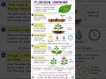 2nd puc biology, sexual reproduction in flowering plants(florigen hormone)