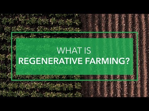 What Is Regenerative Farming?