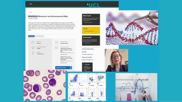 Prof Virginia Calder - Programme Director for Bioscience (Research and Development) MSc