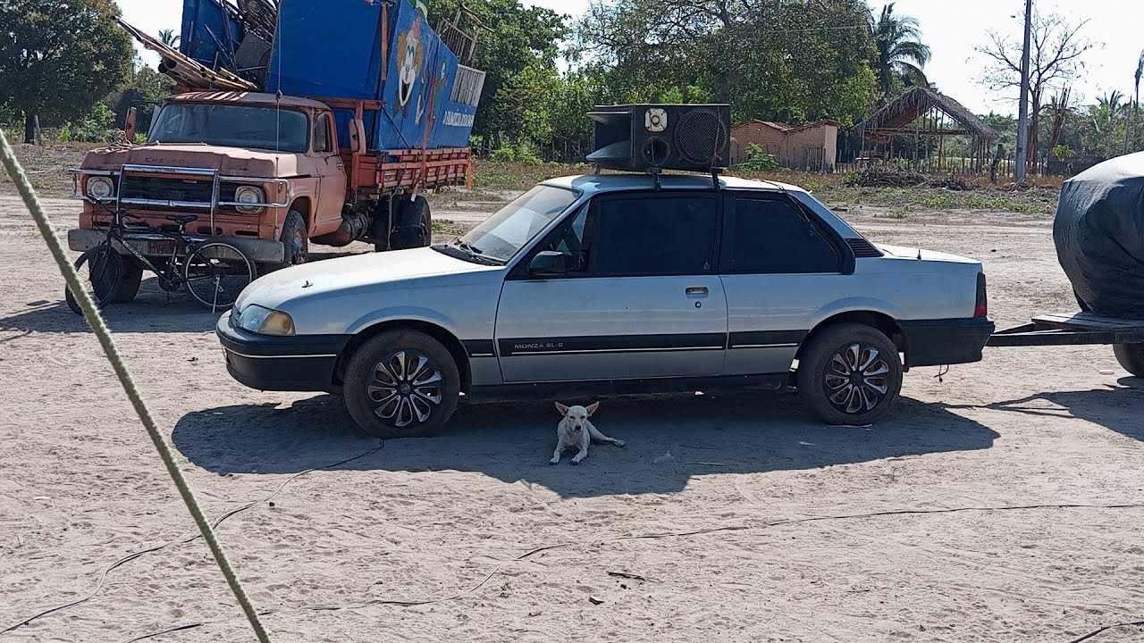 uma nova temporada o circo vai para onde agora 💎🕊️