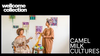 Camel Milk Cultures with dhaqan collective