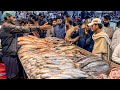 Balochi Fried Fish &amp; Grilled Fish • Pakistan&#39;s Biggest Seafood Food Street. Lahori Masala Fish Fry