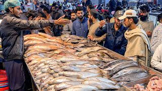 Balochi Fried Fish & Grilled Fish • Pakistan's Biggest Seafood Food Street. Lahori Masala Fish Fry