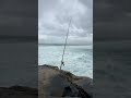 #bronte #sydney #fishing #shorts #youtube #youtubeshorts #viral #viralshorts #india#australia #beach