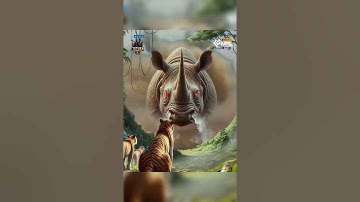Chitvan rhinos are ready to change against sudurpaschim!#npl
