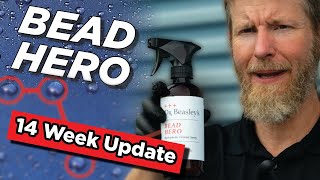 Dr. Beasleys Bead Hero 14 week check in. Ft special Guest by Sky's the Limit Car Care 847 views 5 months ago 5 minutes, 19 seconds