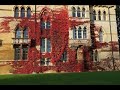 Depoliticizing Pedagogies of Comfort and Instrumentalism