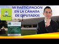 PARTICIPACIÓN EN LA CÁMARA DE DIPUTADOS.