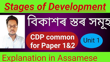 stages of development//ctet 2023//বিকাশৰ স্তৰ