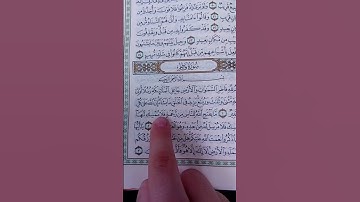 سورة فاطر بصوت القارئ محمود البنا رحمه الله