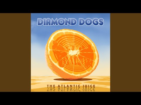 Diamond Dogs — I'll Drink to Ya
