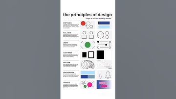 #principles of design📑✒️ #design theory  #graphic designer elements #beginners #designers #2025🎯