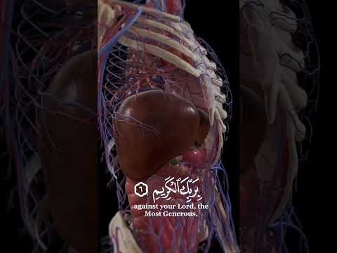 ي ا ي ه ا ال ا ن س ان م ا غ ر ك ب ر ب ك ال ك ر ي م