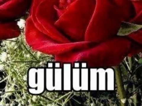 YAŞAR ÖZEL - ÖLÜMSÜZ AŞK - **MELEK**