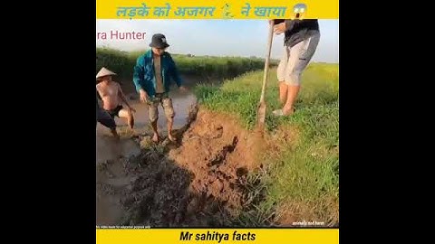 Experiment 283➡️ Snake Rescue part-11 ) साँप 🐍ने लड़के को अपने बिल में  खींचा😱 #shorts