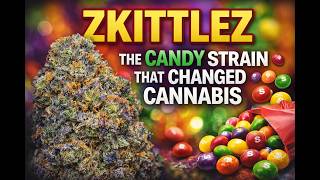 Zkittlez: The Candy Strain Revolutionizing Cannabis