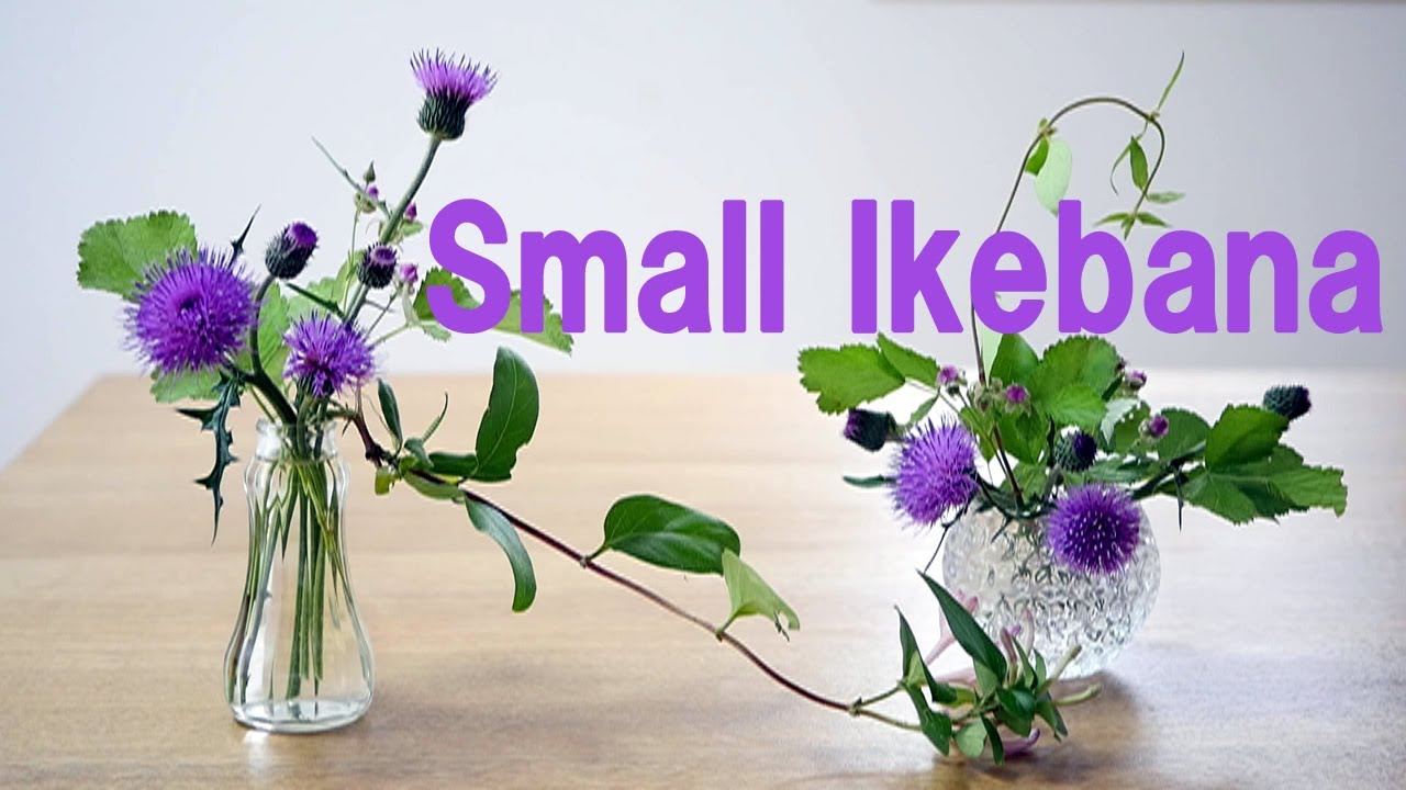 生け花 空き瓶に簡単に野の花を生ける Ikebana 器は100均 Wild Flowers Use Empty Bottle 野花 使用空瓶 Utilisez Une Bouteille Vide Youtube