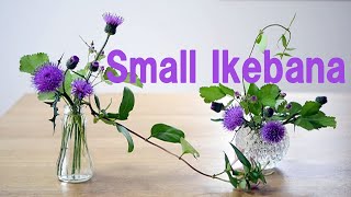 【生け花】空き瓶に簡単に野の花を生ける【ikebana】器は100均/Wild flowers/Use empty bottle/野花/使用空瓶/Utilisez une bouteille vide