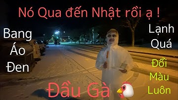 Biến Căng - Bang Đầu Gà 🐔 Nó Sang Đến Nhật rồiiii ! Auto Cách giải quyết khi gặp bang Đầu Gà 🐔