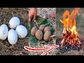 Boiling eggs with mud | గుడ్లను మట్టితో ఉడికించ వచ్చా Telugu Experiments