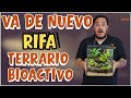 Bamfish está en vivo