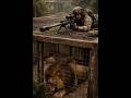 Zoo hostage rescued by gorilla and sniper what Happens Next Is Insane 😳