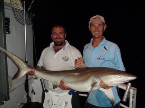 Shore fishing for Bronze Whaler Shark - Bushguide 101