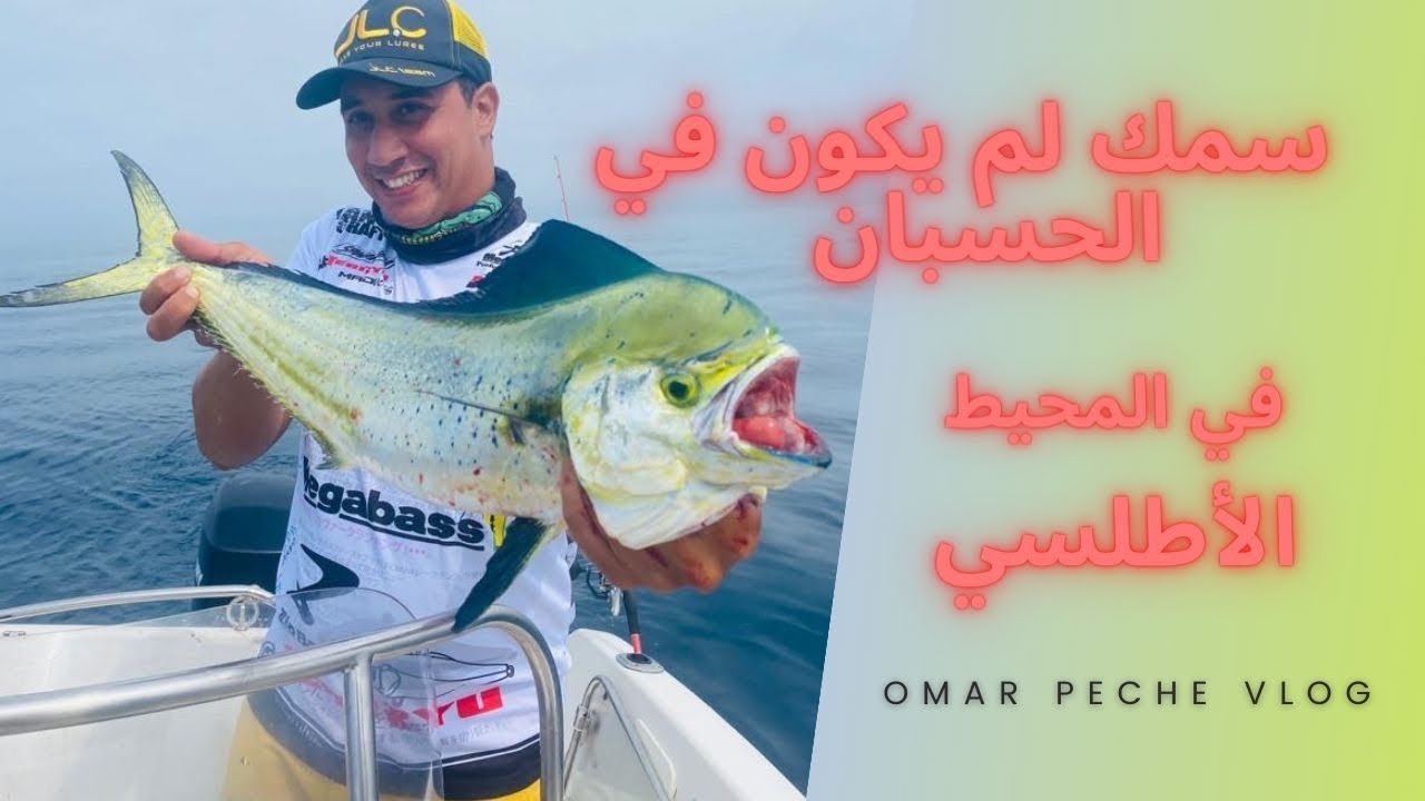 ‏هجم علينا سمك ‏Mahi-Mahi