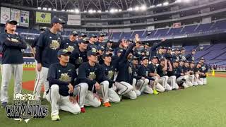 オリックスバファローズ2021 パリーグ優勝記念dvd オリックスバファローズ2021 パリーグ優勝記念dvd オリックス