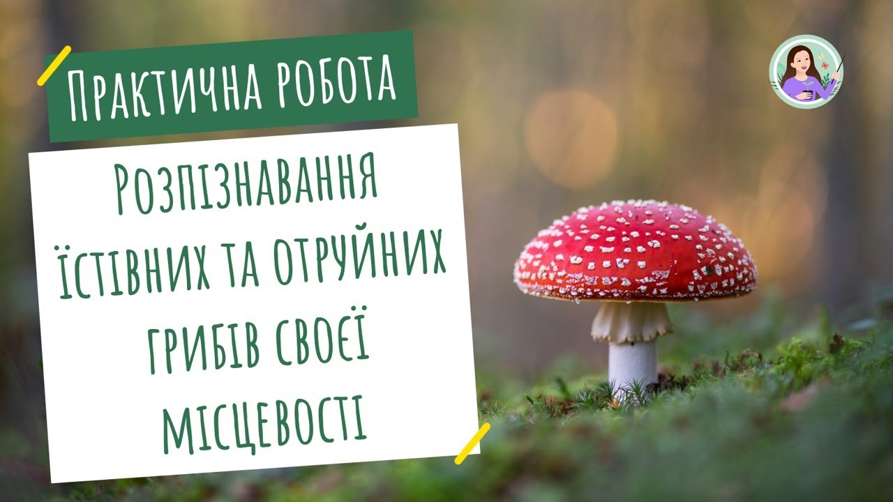 Гриби на святвечір