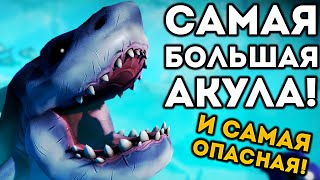САМАЯ БОЛЬШАЯ АКУЛА! И САМАЯ ОПАСНАЯ! - Feed and Grow: Fish САМАЯ БОЛЬШАЯ АКУЛА! И САМАЯ ОПАСНАЯ! - Feed and Grow: Fish