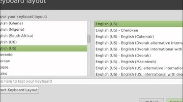 Install Linux Mint 13 Maya Xfce Steps on VMWare Fusion 4 with Issue-Free Disk Setup