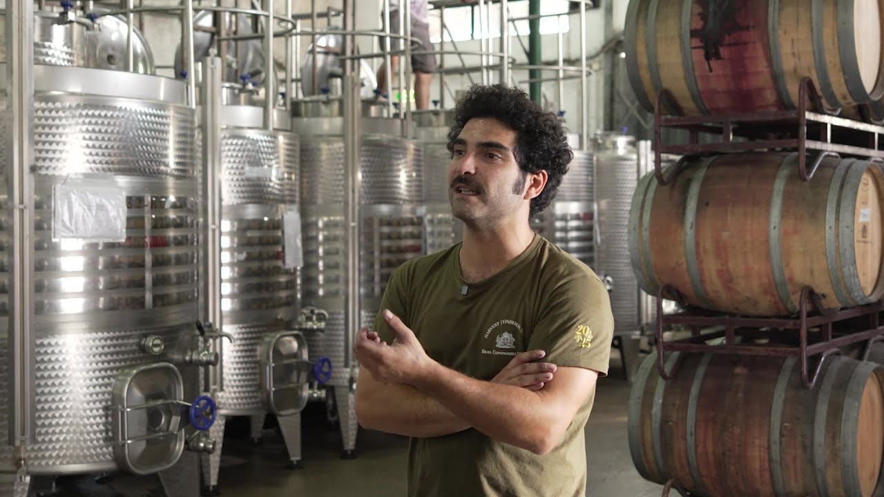 Perguntas de Vindima, com Pedro O. Silva Reis