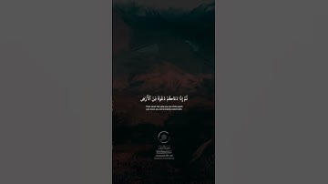 الشيخ محمد صديق المنشاوي سورة الروم #الشيخ_محمد_صديق_المنشاوي #قرآن_كريم #الشيخ_المنشاوي #سورة_الروم
