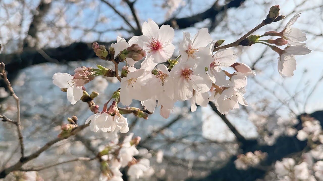 NICE 2320000!! - YouTube