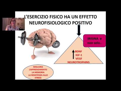 Video: Ruolo Del Coattivatore Gamma-recettore 1-alfa (PGC-1α) Attivato Dal Proliferatore Del Perossisoma Nell'atrofia Indotta Da Denervazione Nei Muscoli Anziani: Fatti E Ipotesi